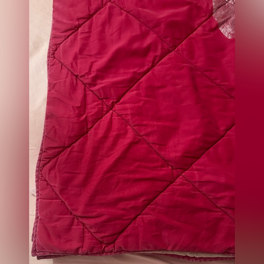 VINTAGE VICTORIA’S SECRET PINK “SO MUCH LOVE SO LITTLE TIME” QUILT - Picture 7 of 16